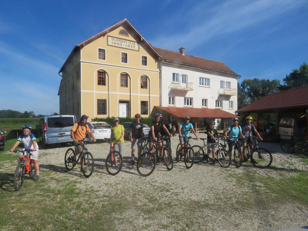 Mill House Apartment And Camping Ljutomer Eksteriør billede